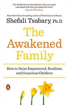 The Awakened Family cover